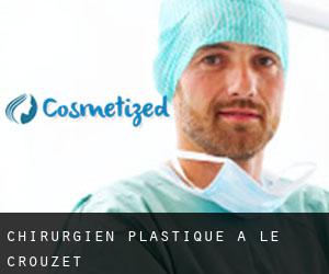 Chirurgien Plastique à Le Crouzet