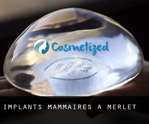 Implants mammaires à Merlet