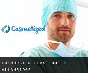 Chirurgien Plastique à Allanridge