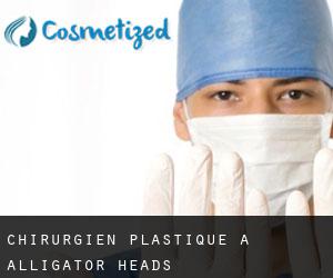 Chirurgien Plastique à Alligator Heads