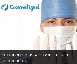Chirurgien Plastique à Blue Heron Bluff