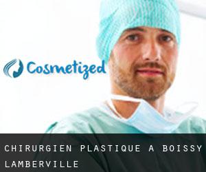Chirurgien Plastique à Boissy-Lamberville