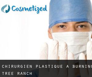 Chirurgien Plastique à Burning Tree Ranch