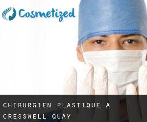 Chirurgien Plastique à Cresswell Quay