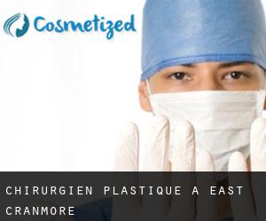 Chirurgien Plastique à East Cranmore