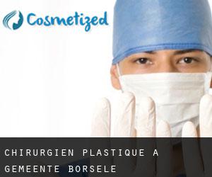 Chirurgien Plastique à Gemeente Borsele
