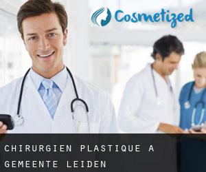 Chirurgien Plastique à Gemeente Leiden