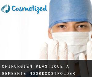 Chirurgien Plastique à Gemeente Noordoostpolder