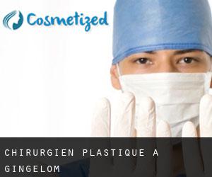 Chirurgien Plastique à Gingelom