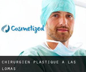 Chirurgien Plastique à Las Lomas