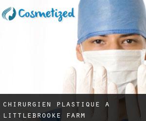 Chirurgien Plastique à Littlebrooke Farm