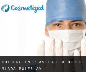 Chirurgien Plastique à Okres Mladá Boleslav