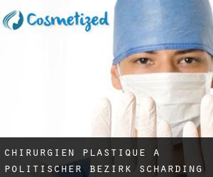 Chirurgien Plastique à Politischer Bezirk Schärding