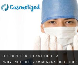 Chirurgien Plastique à Province of Zamboanga del Sur