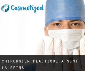 Chirurgien Plastique à Sint-Laureins
