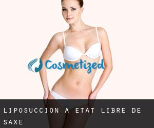 Liposuccion à État libre de Saxe Liposuccion à État libre de Saxe