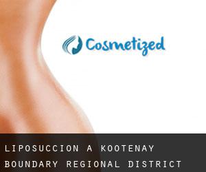 Liposuccion à Kootenay-Boundary Regional District
