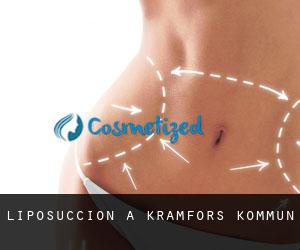Liposuccion à Kramfors Kommun Liposuccion à Kramfors Kommun