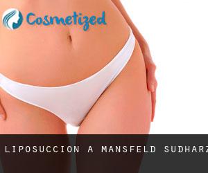 Liposuccion à Mansfeld-Südharz Liposuccion à Mansfeld-Südharz