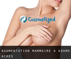 Augmentation mammaire à Adamo Acres