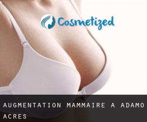 Augmentation mammaire à Adamo Acres