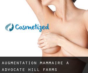 Augmentation mammaire à Advocate Hill Farms
