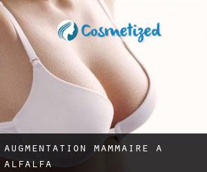 Augmentation mammaire à Alfalfa