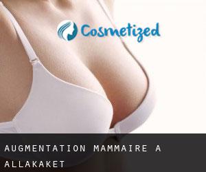 Augmentation mammaire à Allakaket
