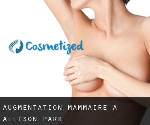Augmentation mammaire à Allison Park