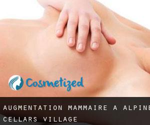 Augmentation mammaire à Alpine Cellars Village