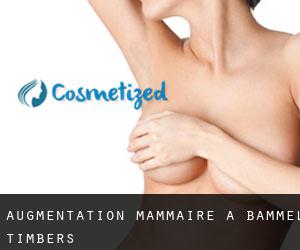 Augmentation mammaire à Bammel Timbers