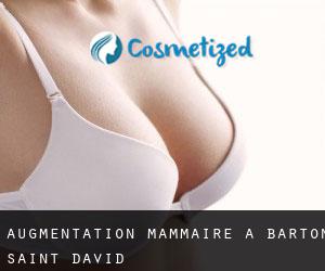 Augmentation mammaire à Barton Saint David