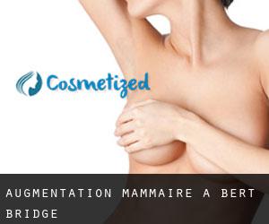 Augmentation mammaire à Bert Bridge