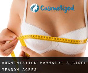 Augmentation mammaire à Birch Meadow Acres