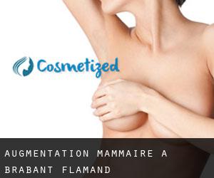 Augmentation mammaire à Brabant-Flamand
