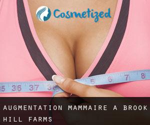 Augmentation mammaire à Brook Hill Farms