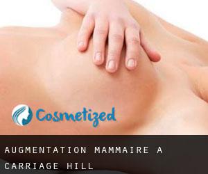 Augmentation mammaire à Carriage Hill