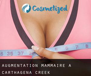 Augmentation mammaire à Carthagena Creek