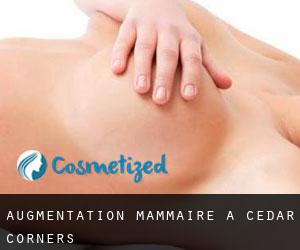 Augmentation mammaire à Cedar Corners