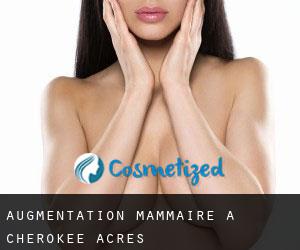 Augmentation mammaire à Cherokee Acres