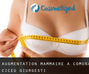 Augmentation mammaire à Comuna Ciceu-Giurgeşti