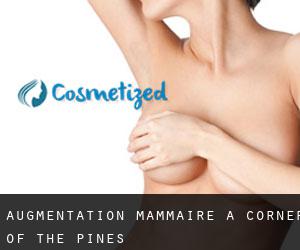 Augmentation mammaire à Corner of the Pines
