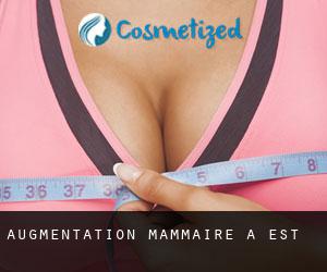 Augmentation mammaire à Est Augmentation mammaire à Est