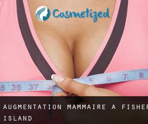 Augmentation mammaire à Fisher Island