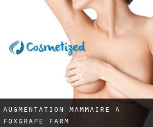 Augmentation mammaire à Foxgrape Farm