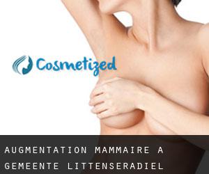Augmentation mammaire à Gemeente Littenseradiel