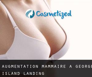 Augmentation mammaire à George Island Landing