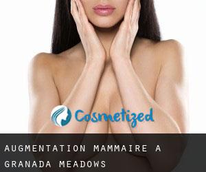 Augmentation mammaire à Granada Meadows