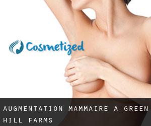 Augmentation mammaire à Green Hill Farms