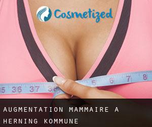 Augmentation mammaire à Herning Kommune